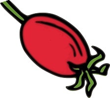 semilla de la rosa mosqueta